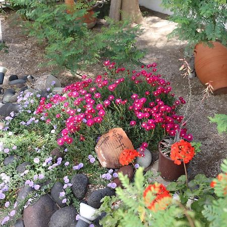Spiros & Hiroko Hotel - Adults Only Периса Екстериор снимка